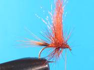 Chocolate sunset - FOTW - March 7 ,2011