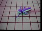 Bikini Spider - FOTW - March 14, 2011