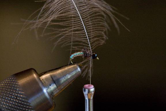 https://i1187.photobucket.com/albums/z388/davkrat/Fly%20Fishing/Flies-6917.jpg