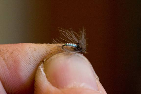 https://i1187.photobucket.com/albums/z388/davkrat/Fly%20Fishing/Flies-6924.jpg