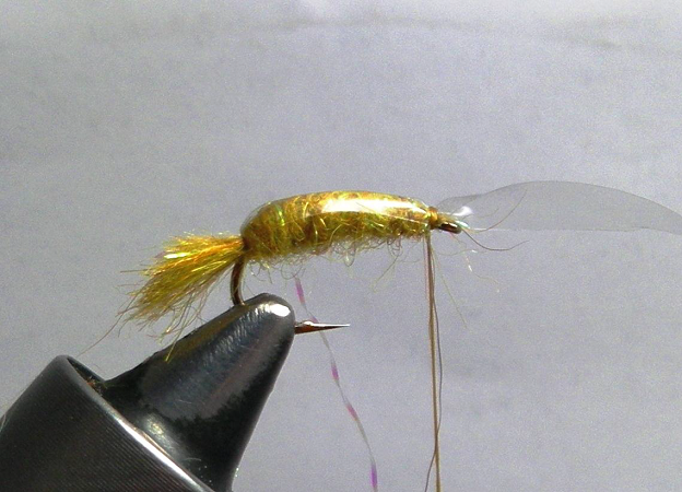 KG Spring Creek Scud - FOTW