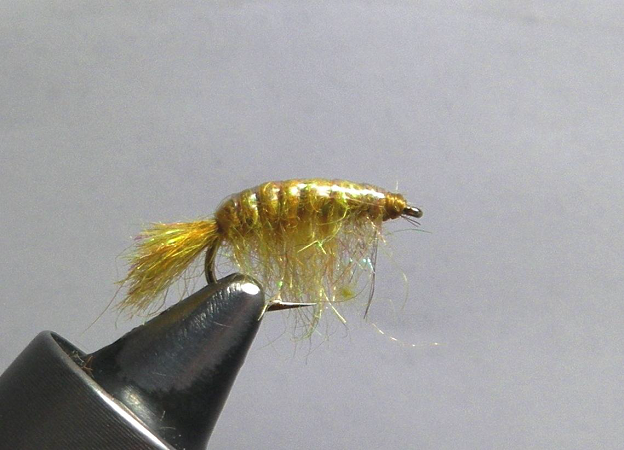 KG Spring Creek Scud - FOTW