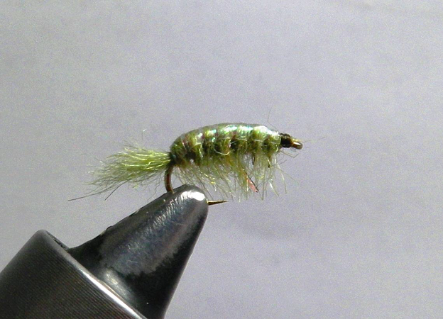 KG Spring Creek Scud - FOTW