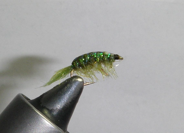 KG Spring Creek Scud - FOTW