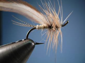 PMD FLYMPH - FOTW - Ron Eagle Elk
