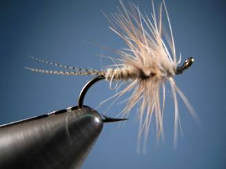 PMD FLYMPH - FOTW - Ron Eagle Elk