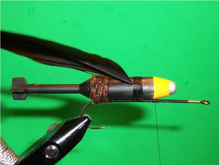 Wiley Coyote Fly -FOTW- Aug 1, 2011