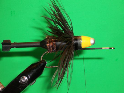 Wiley Coyote Fly -FOTW- Aug 1, 2011