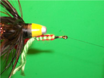 Wiley Coyote Fly -FOTW- Aug 1, 2011