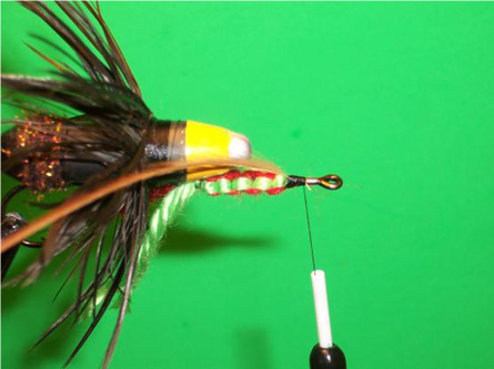 Wiley Coyote Fly -FOTW- Aug 1, 2011