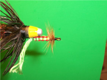 Wiley Coyote Fly -FOTW- Aug 1, 2011
