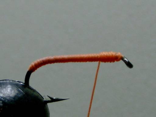 Toms BWO - Thomas Snyder - FOTW