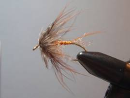 Coyoted pheasant soft-hackle - Satoshi Yamamoto