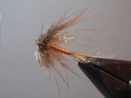 Coyoted pheasant soft-hackle - Satoshi Yamamoto
