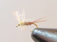 fotw 20120102