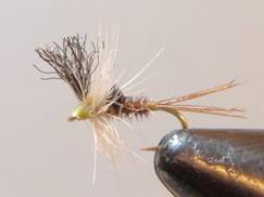 fotw 20120102