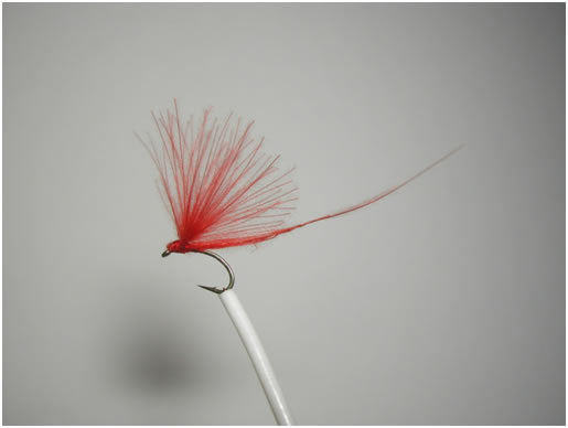 Miragefly