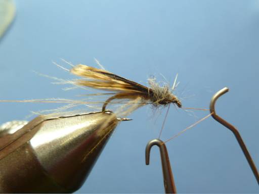 fotw 30 Jan 2012