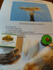 KORN'S CDC SPENT-WING CADDIS SBS