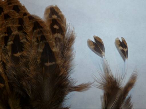 KORN'S CDC SPENT-WING CADDIS SBS