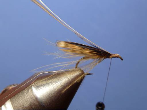 KORN'S CDC SPENT-WING CADDIS SBS