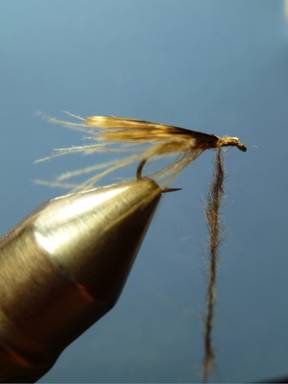 KORN'S CDC SPENT-WING CADDIS SBS