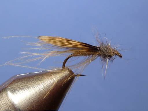 KORN'S CDC SPENT-WING CADDIS SBS