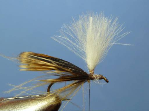 KORN'S CDC SPENT-WING CADDIS SBS