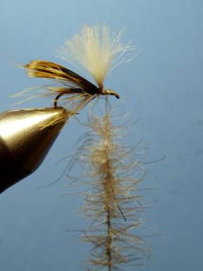KORN'S CDC SPENT-WING CADDIS SBS