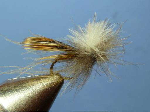 KORN'S CDC SPENT-WING CADDIS SBS