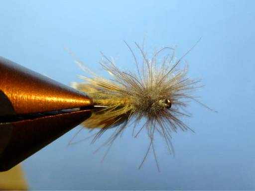 KORN'S CDC SPENT-WING CADDIS SBS
