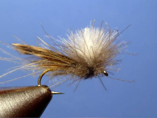 KORN'S CDC SPENT-WING CADDIS SBS