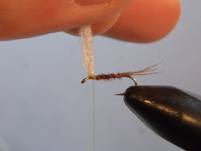 Pheasant Tail Mayfly Parachute