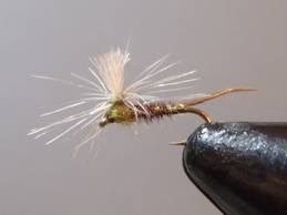 Pheasant Tail Mayfly Parachute