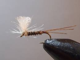 Pheasant Tail Mayfly Parachute