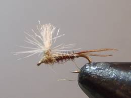 Pheasant Tail Mayfly Parachute