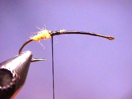 FOTW Iridescent October Caddis
