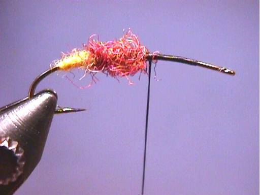 FOTW Iridescent October Caddis