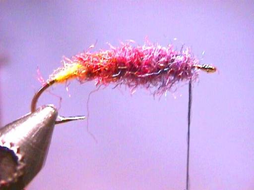 FOTW Iridescent October Caddis