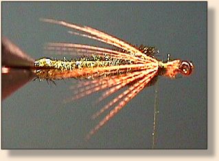 FOTW Iridescent October Caddis
