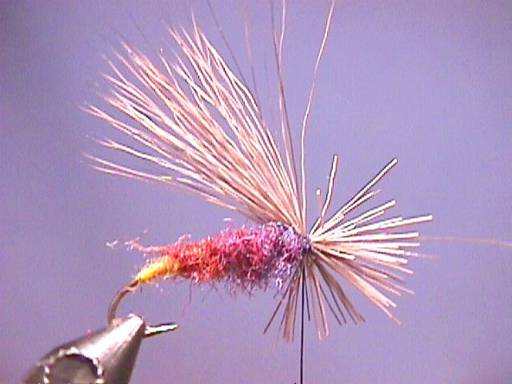 FOTW Iridescent October Caddis