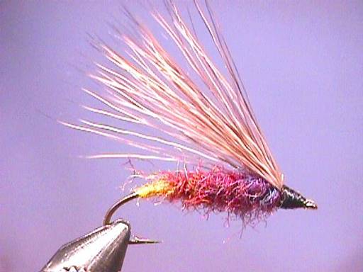 FOTW Iridescent October Caddis