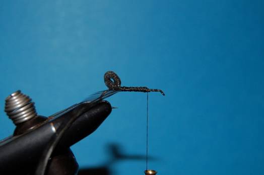 FOTW - Foam butt caddis