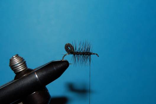FOTW - Foam butt caddis