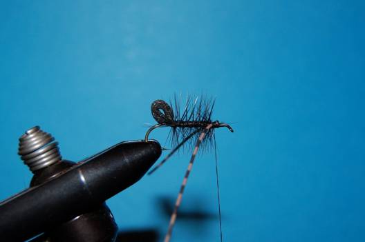 FOTW - Foam butt caddis