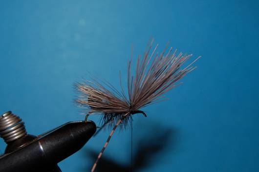 FOTW - Foam butt caddis