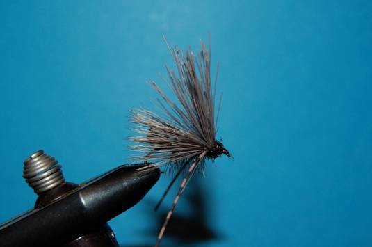 FOTW - Foam butt caddis