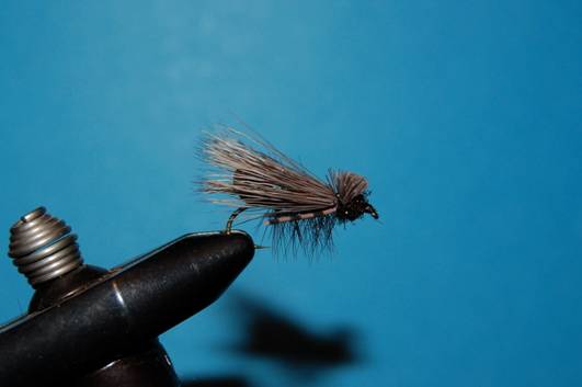 FOTW - Foam butt caddis