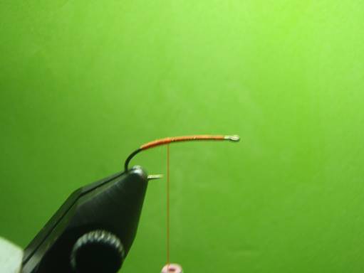 FOTW - Furled extended body October caddis