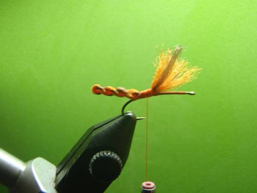 FOTW - Furled extended body October caddis